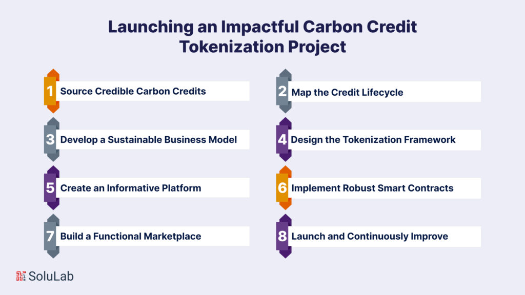 Launching an Impactful Carbon Credit Tokenization Project