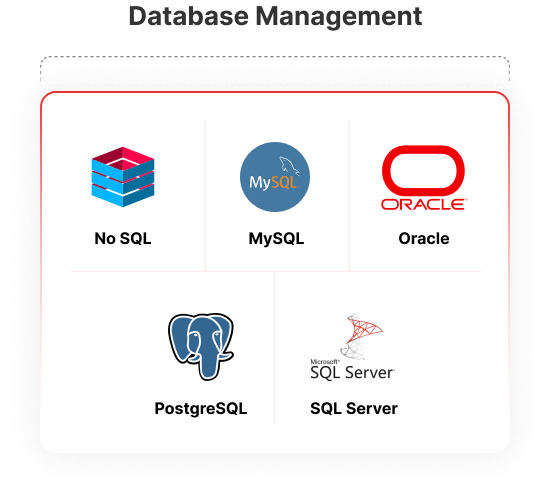 Database Management