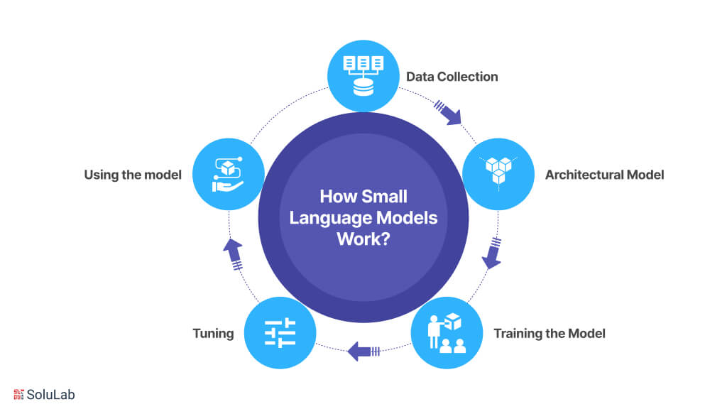 How Small Language Models Works