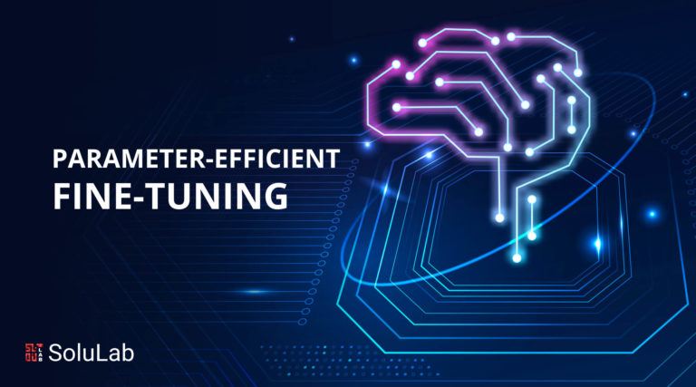 Parameter Efficient Fine Tuning