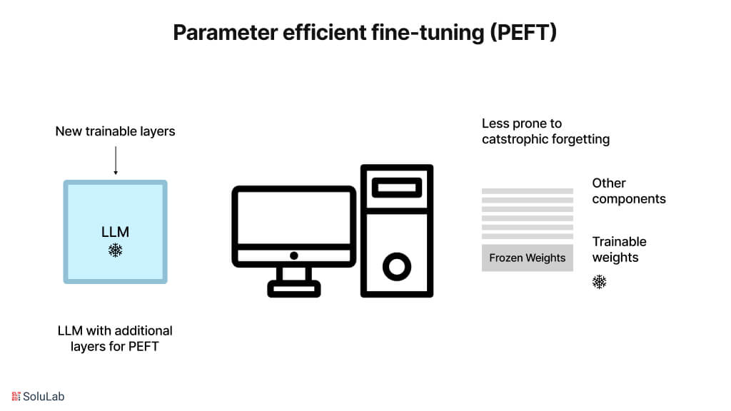 Parameter Efiicient Fine-Tuning