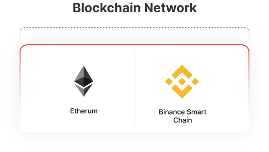 Blockchain Network