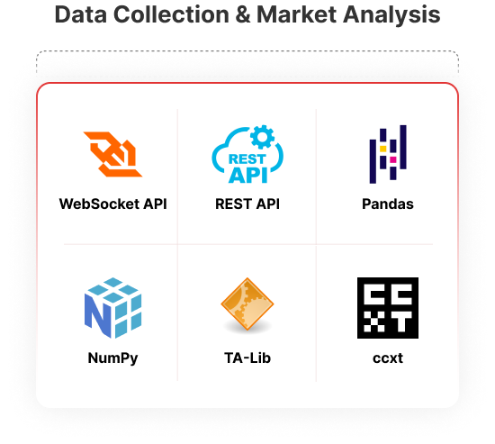 Data Collection & Market Analysis