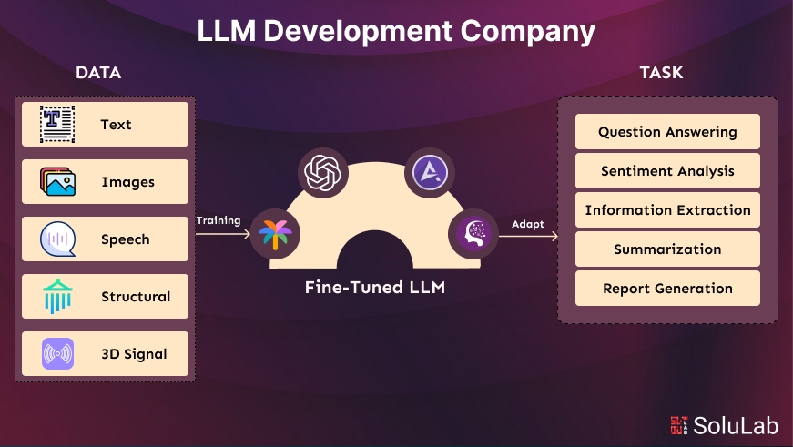 LLM- Development_company