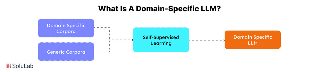 What is a Domain-Specific LLM