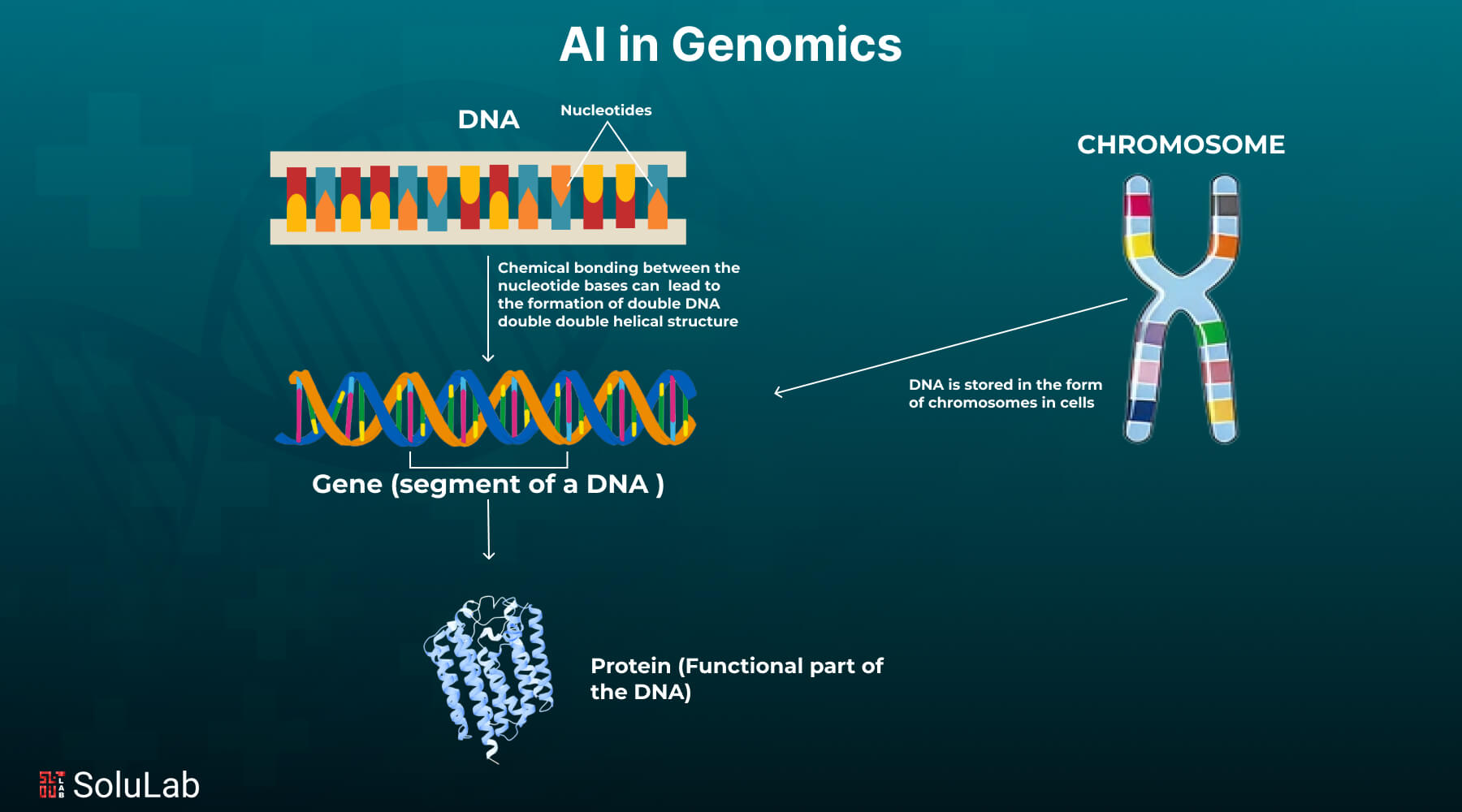 AI in Genomics