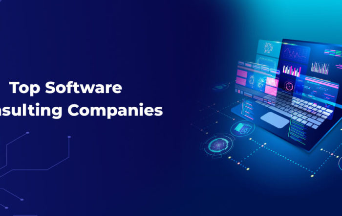 Top Software Consulting Companies