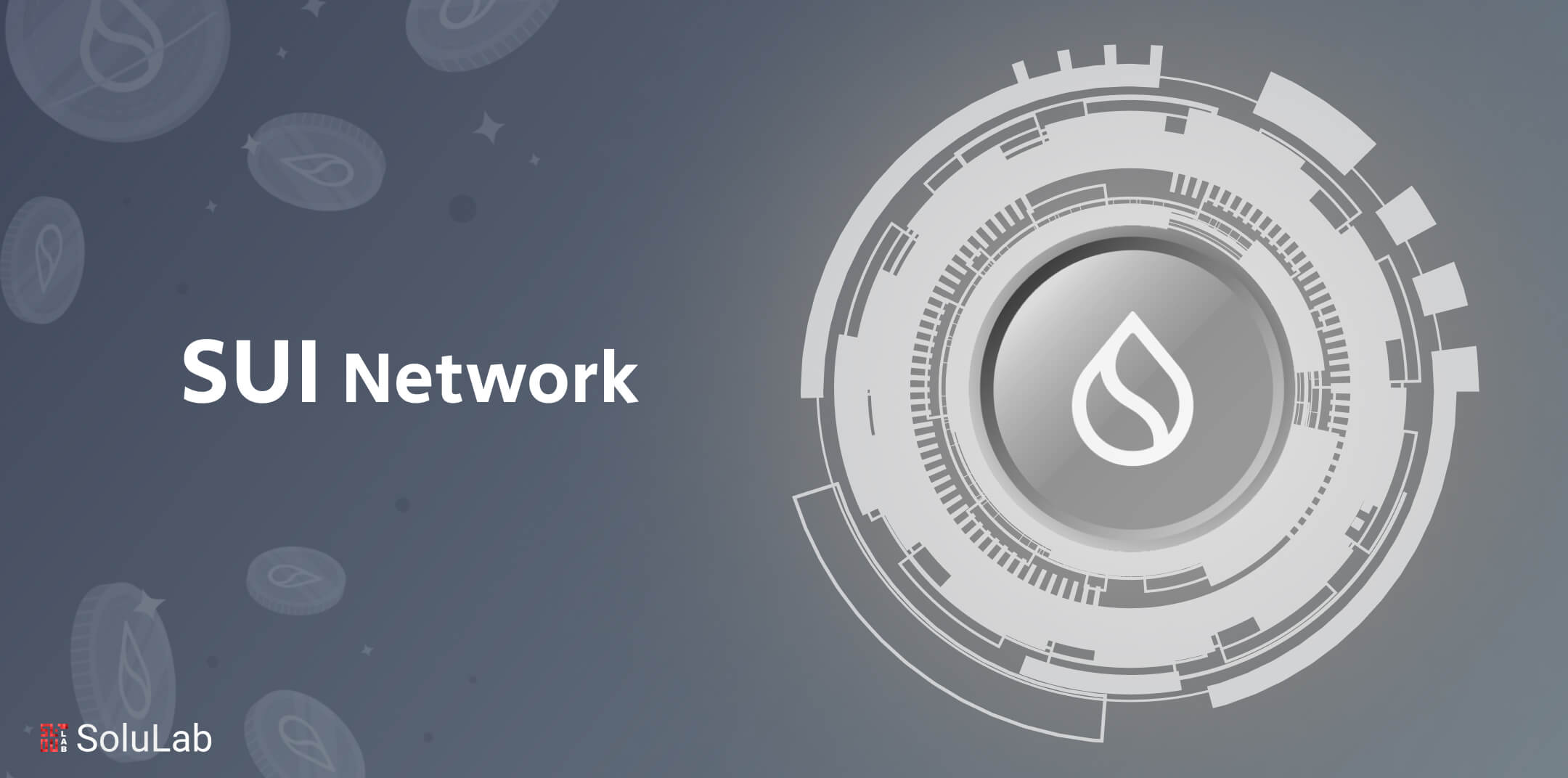 Sui Network