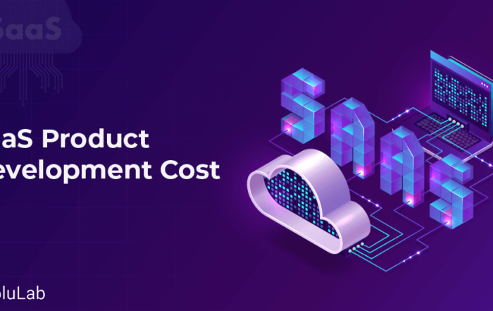 Saas Product development